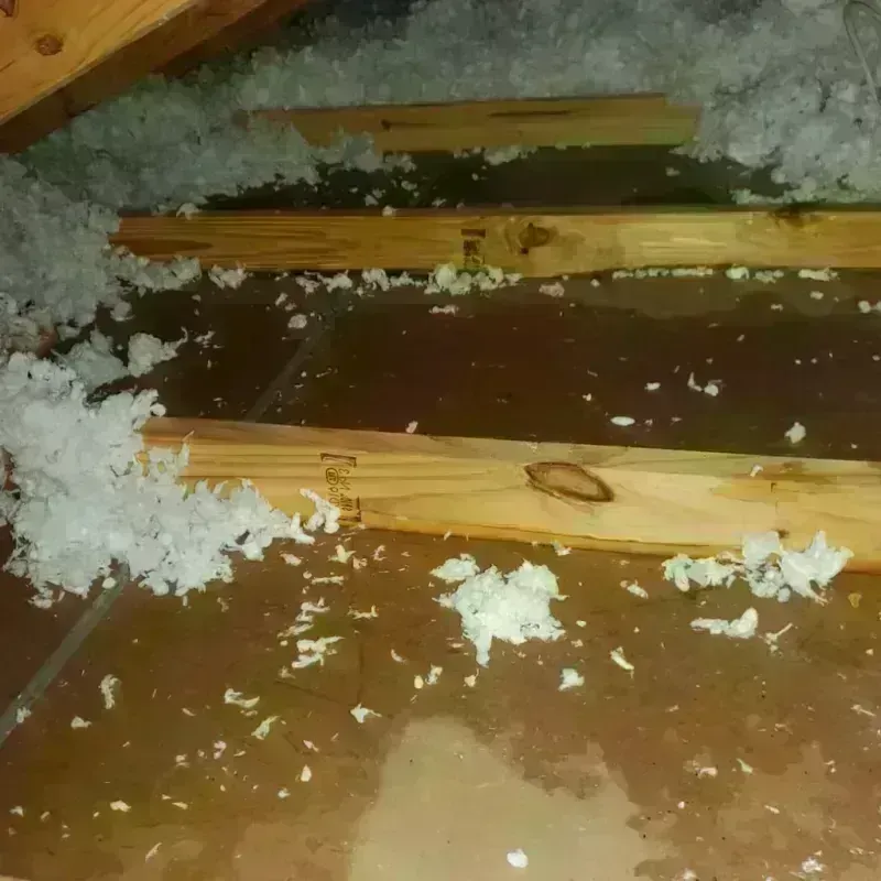 Attic Water Damage in Dalton, OH